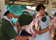 RPH Surabaya Gelar Obral Daging Iga di 15 Titik Pasar Murah Ramadhan