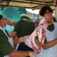 Obral daging murah