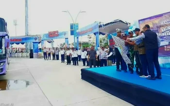 Pelepasan arus balik