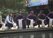 Jaga Ekosistem Perairan, Pemkot Kediri Tebar Belasan Ribu Benih Ikan Endemik