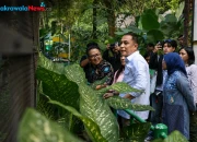 pemkot surabaya tata kebun binatang surabaya untuk tingkatkan wisata