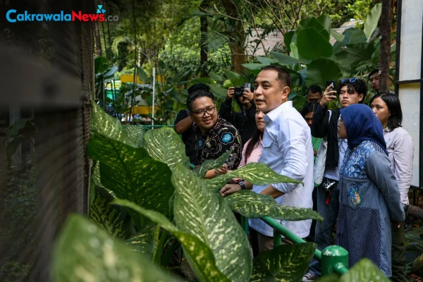 Ditata Ulang, Wali Kota Eri Cahyadi Rombak Tampilan KBS Lebih Terbuka dan Menarik
