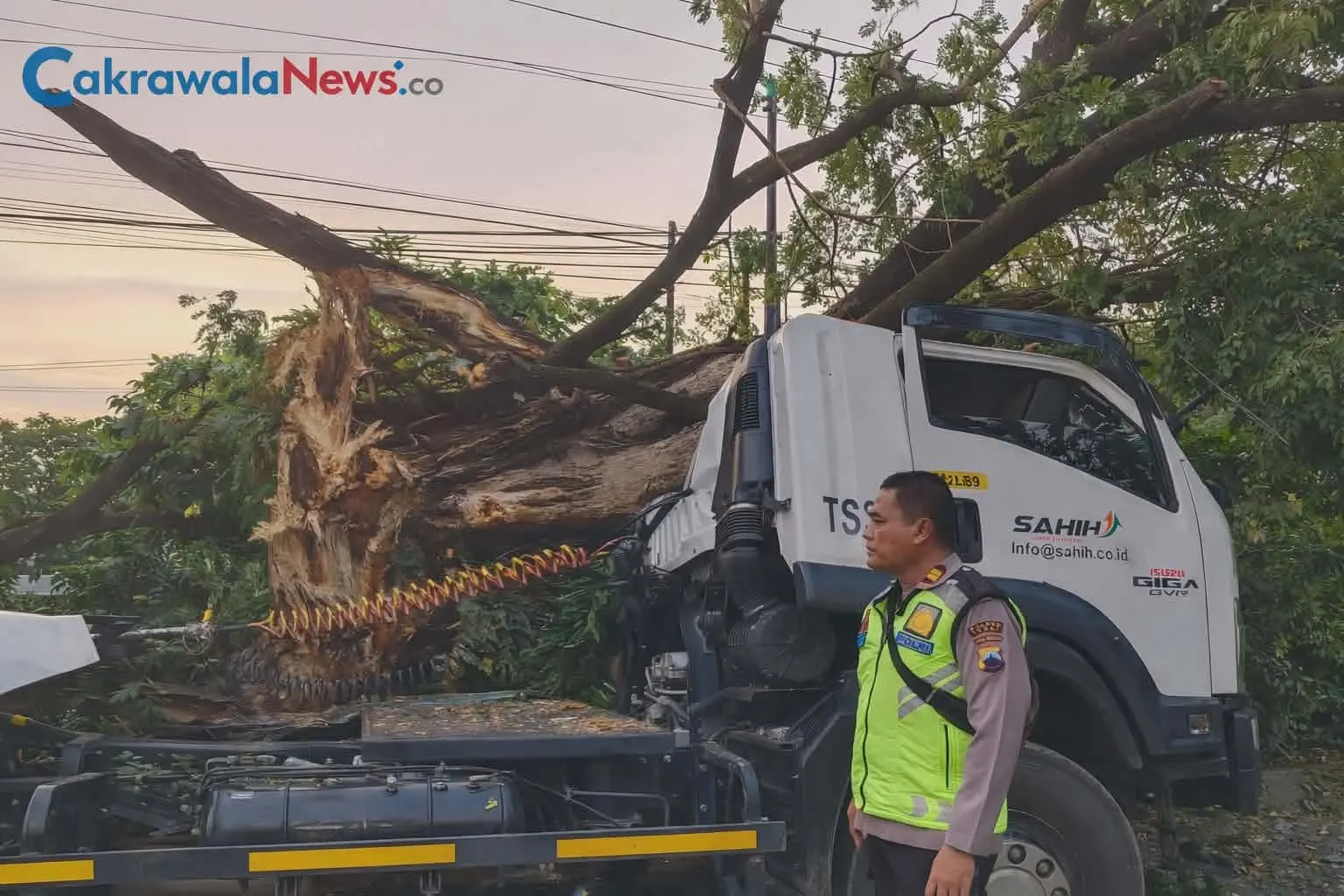 kecelakaan tunggal di tarub tegal truk tertimpa pohon tumbang tanpa korban jiwa