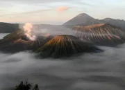 Balai Besar TNBTS Tutup Kawasan Gunung Bromo Selama Sepekan untuk Pemulihan Ekosistem