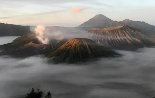 Balai Besar TNBTS Tutup Kawasan Gunung Bromo Selama Sepekan untuk Pemulihan Ekosistem