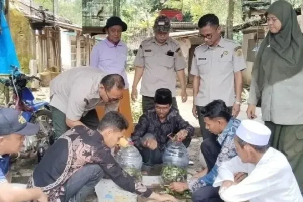 Inovasi Petani Probolinggo Ubah Gulma Eceng Gondok Jadi Pembenah Tanah Alami