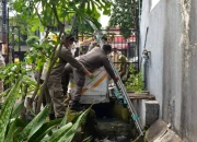 Satpol PP Surabaya Bongkar Lapak Liar di Saluran Manukan untuk Kembalikan Fungsi Drainase