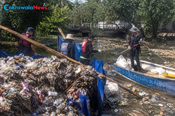 Ecoton Angkut Lebih dari 2,4 Ton Sampah Plastik dari Kali Tebu Surabaya dalam Dua Hari
