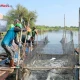 BRIDA Surabaya Dorong Metode Silvofishery untuk Perkuat Ekosistem Pesisir