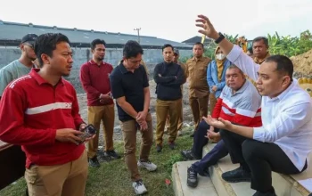 Kawasan Tanjungsari Ditarget Bebas Banjir Tahun Ini, Bozem Raksasa Dikebut