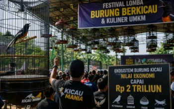Gambar ilustrasi