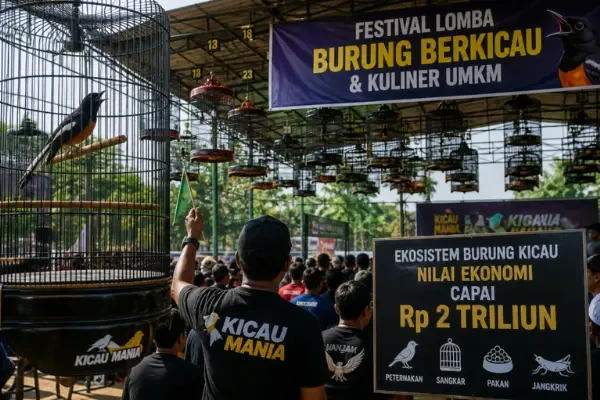 Perputaran Uang Kicau Mania Capai Rp 2 Triliun