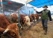 Sekolah Utamakan Prinsip Sukarela dalam Kegiatan Kurban Iduladha