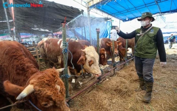 Sekolah Utamakan Prinsip Sukarela dalam Kegiatan Kurban Iduladha