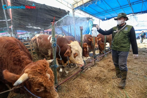 Partisipasi Kurban di Sekolah Harus Sukarela, Jangan Jadi Beban Wali Murid