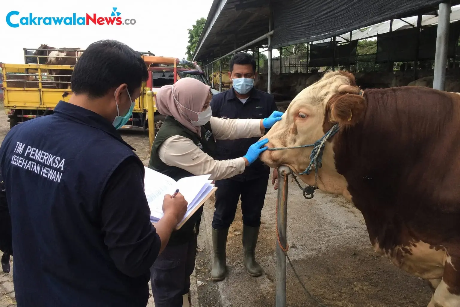 Pemkot Surabaya Perketat Pemeriksaan Hewan Kurban Jelang Iduladha