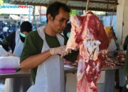 Petugas RPH Surabaya Periksa Sapi Kurban Jelang Iduladha 1447 H