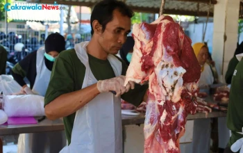 Petugas RPH Surabaya Periksa Sapi Kurban Jelang Iduladha 1447 H