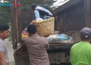 Polsek Pangkah dan DLH Bersihkan Sampah Liar di Jalan Lingkar Slawi