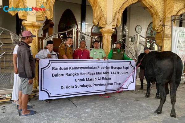 Pemkot Terima Sapi Kurban Banpres, Dibeli dari Peternak Lokal Surabaya