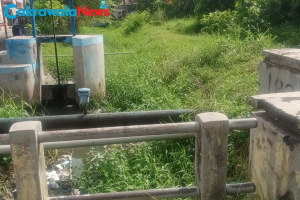 Cegah Banjir : Darsiyanto, Jembatan Kali Desa Kepandean Perlu Jaring Pengaman