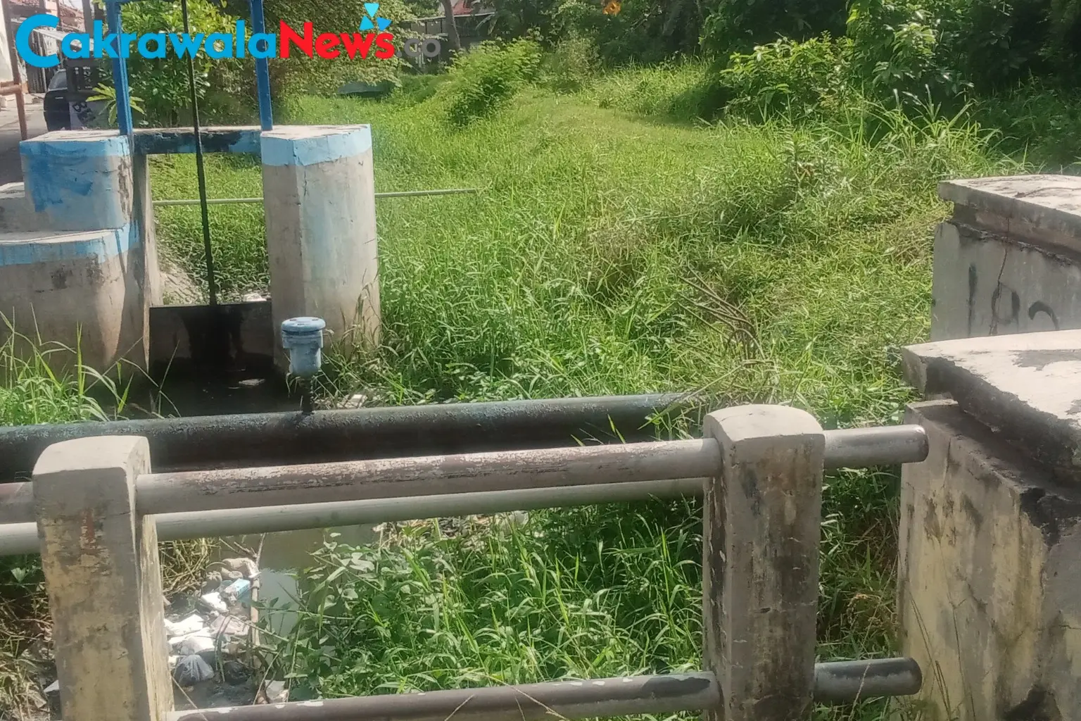 Warga Kepandean Soroti Tumpukan Sampah dan Rumput Liar di Aliran Kali Desa