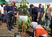 emkab Tegal Canangkan Gerakan Satu Rumah Satu Pohon pada Hari Lingkungan Hidup Sedunia 2026