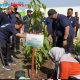 Peringati Hari Lingkungan Hidup Sedunia 2026, Pemkab Tegal Canangkan Gerakan Satu Rumah satu pohon