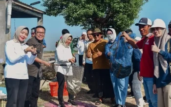 Arif Fathoni saat menghadiri panen raya bandeng dan udang di medokan ayu