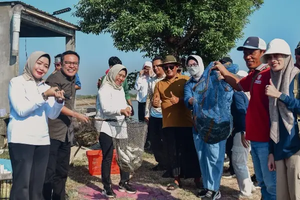Arif Fathoni saat menghadiri panen raya bandeng dan udang di medokan ayu