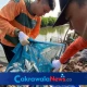 Panen ikan air payau oleh DKPP Surabaya.