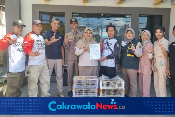 Burung Liar Diselundupkan dari Bali ke Jateng, Karantina Jatim Gagalkan Pengiriman 200 Ekor di Ketapang