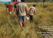 Polri Gerak Cepat Evakuasi Lansia yang Ditemukan Meninggal di Area Persawahan Margasari 
