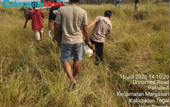 Personel-Polsek-Margasari-Polres-Tegal-Bersama-Tim-INAFIS-Melakukan-Evakuasi-Lansia-yang-Ditemukan-Meninggal-Dunia-di-Area-Persawahan-Desa-Margasari-Kabupaten-Tegal