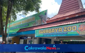 Suasana Kebun Binatang Surabaya.