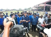 Sambut HUT Demokrat ke 25, AHY: Karapan Sapi Bukti Budaya Nusantara Harus Terus Dijaga