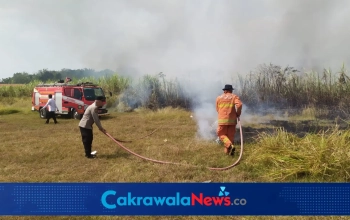 Kebakaran Lahan Tebu di Lebaksiu Tegal Dipadamkan Polisi dan Damkar