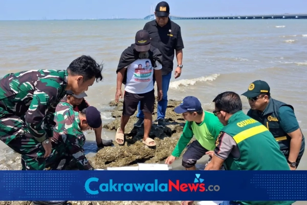 Hendak Dikirim ke Luar Negeri, 30 Ribu Benih Lobster Senilai Rp4,6 Miliar Disita