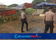 Polres Tegal Tindaklanjuti Aduan Dugaan Judi Sabung Ayam Di Pagerbarang