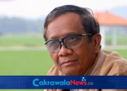 Mengenal Mahfud MD, Sosok Guru Besar Hukum yang Tak Pernah Absen Mengawal Isu Bangsa
