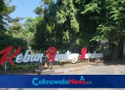 Suasana Kebun Binatang Surabaya (KBS).