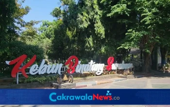 Suasana Kebun Binatang Surabaya (KBS).