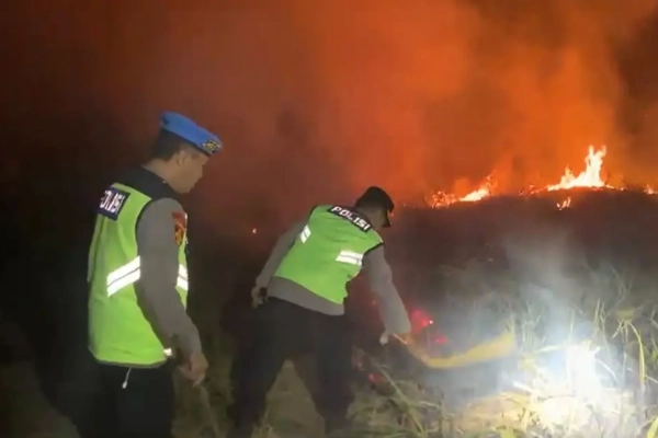Kebakaran Lahan Tebu Seluas 10 Hektare di Pangkah Tegal Berhasil Dipadamkan