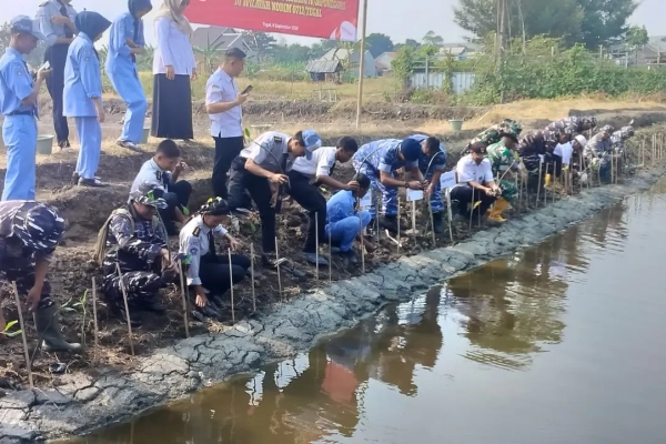 Tanam Mangrove di Pesisir Warureja Tegal TNI Dorong Warga Jaga Pantai dari Abrasi