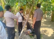 Tegal