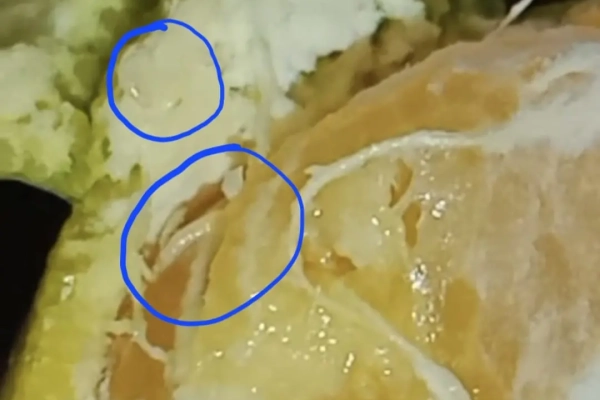 Video Jeruk MBG Berbelatung Viral, SPPG Tandes Ungkap Cerita Dibaliknya