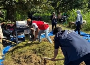 Indonesia Dijuluki Negara Sawit, Pelepahnya Kini Disulap Jadi Pakan Sapi