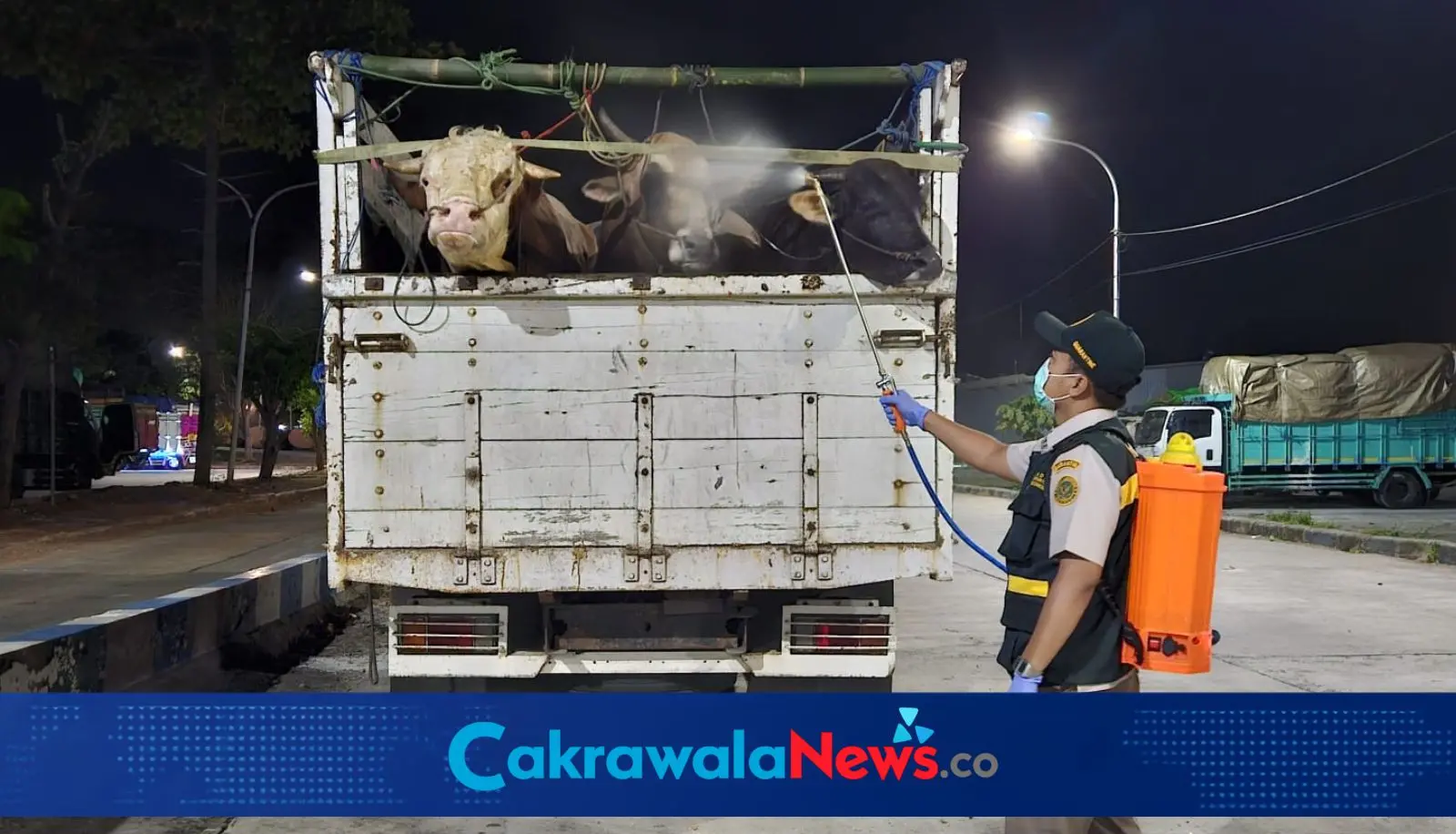 Karantina Jawa Timur dalam mengawasi pergerakan ternak antarwilayah.