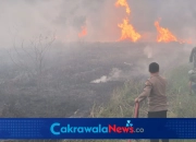 Polri TNI dan Masyarakat Padamkan Kebakaran Lahan di Tarub