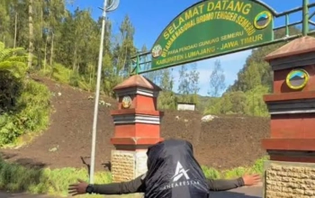 Pendaki